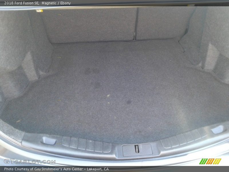 Magnetic / Ebony 2018 Ford Fusion SE