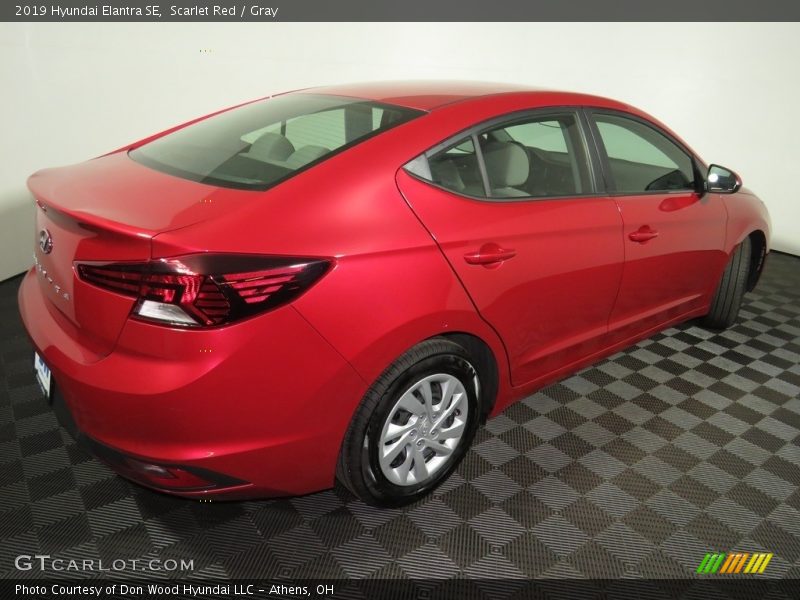 Scarlet Red / Gray 2019 Hyundai Elantra SE