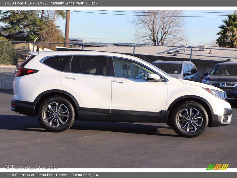 Platinum White Pearl / Black 2020 Honda CR-V EX-L