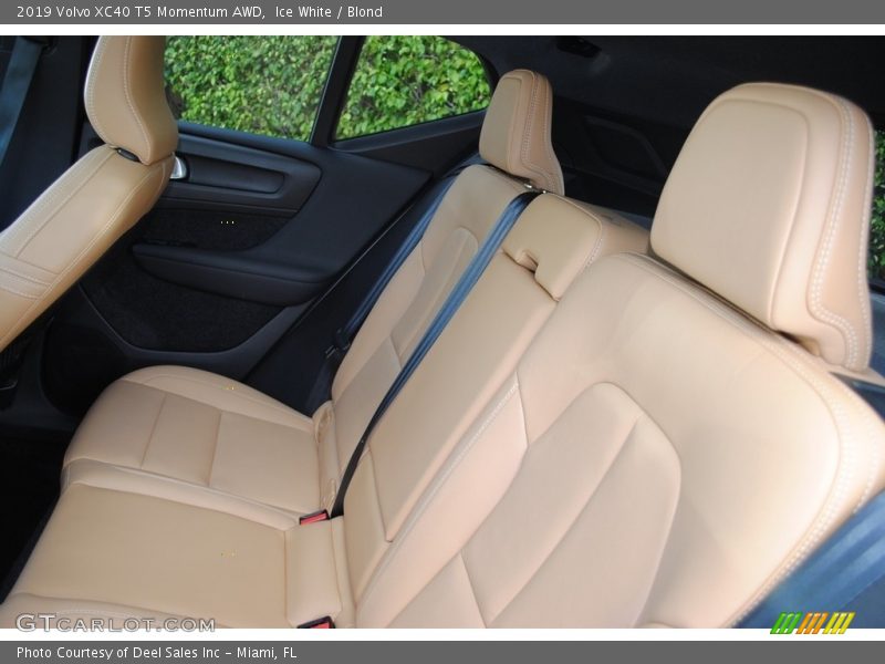 Rear Seat of 2019 XC40 T5 Momentum AWD