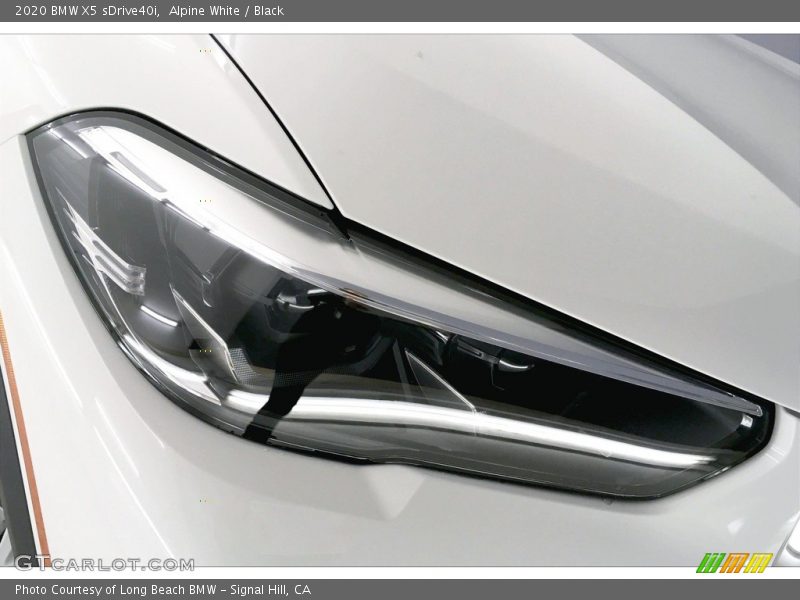 Alpine White / Black 2020 BMW X5 sDrive40i