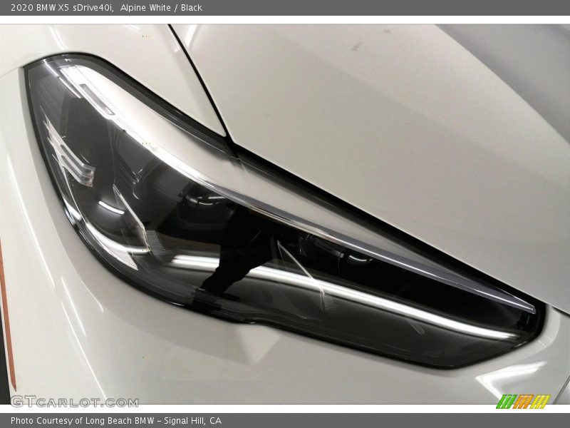 Alpine White / Black 2020 BMW X5 sDrive40i