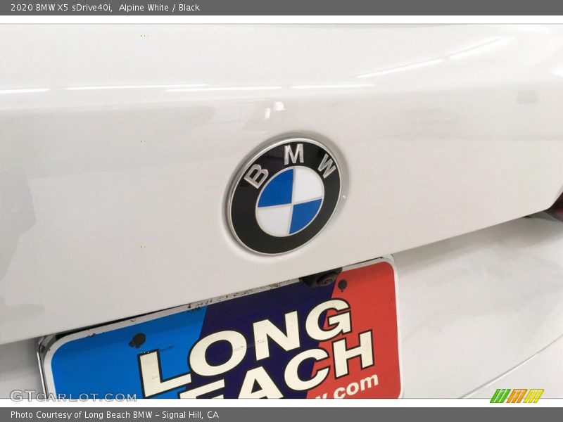 Alpine White / Black 2020 BMW X5 sDrive40i