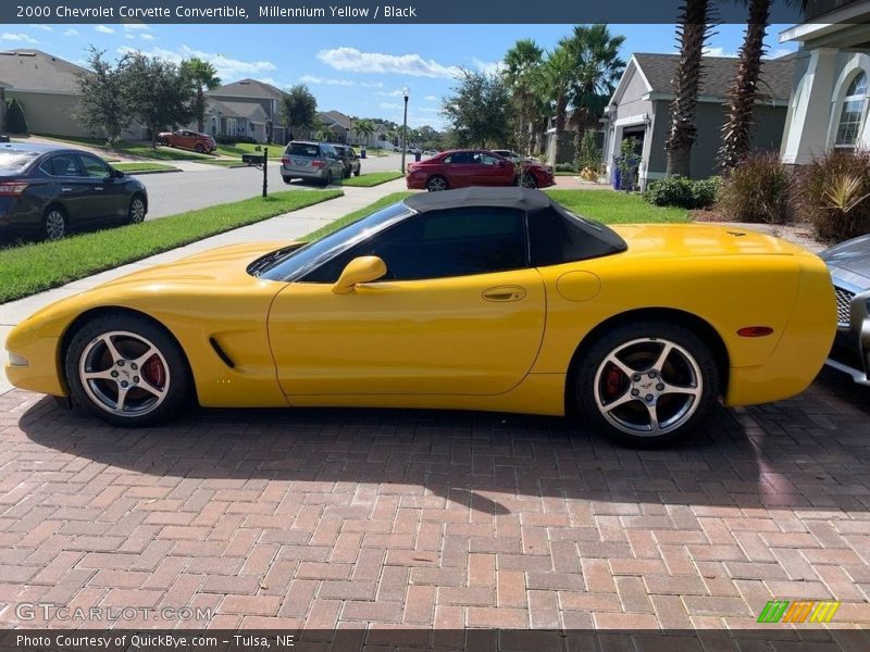 Millennium Yellow / Black 2000 Chevrolet Corvette Convertible