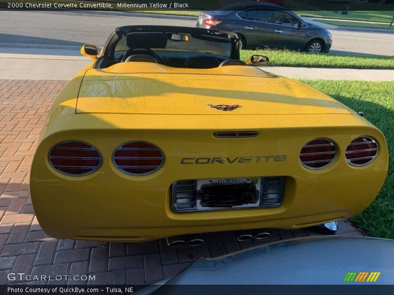 Millennium Yellow / Black 2000 Chevrolet Corvette Convertible
