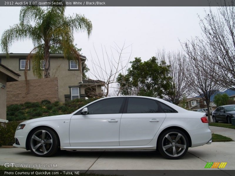 Ibis White / Black/Black 2012 Audi S4 3.0T quattro Sedan