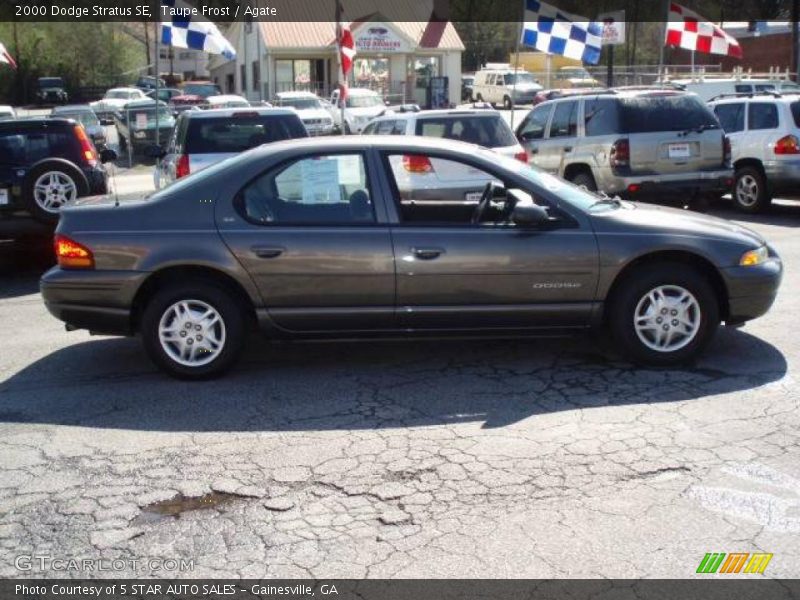 Taupe Frost / Agate 2000 Dodge Stratus SE