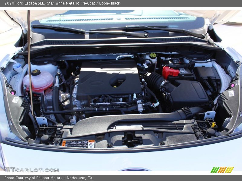 Star White Metallic Tri-Coat / Ebony Black 2020 Ford Escape SEL
