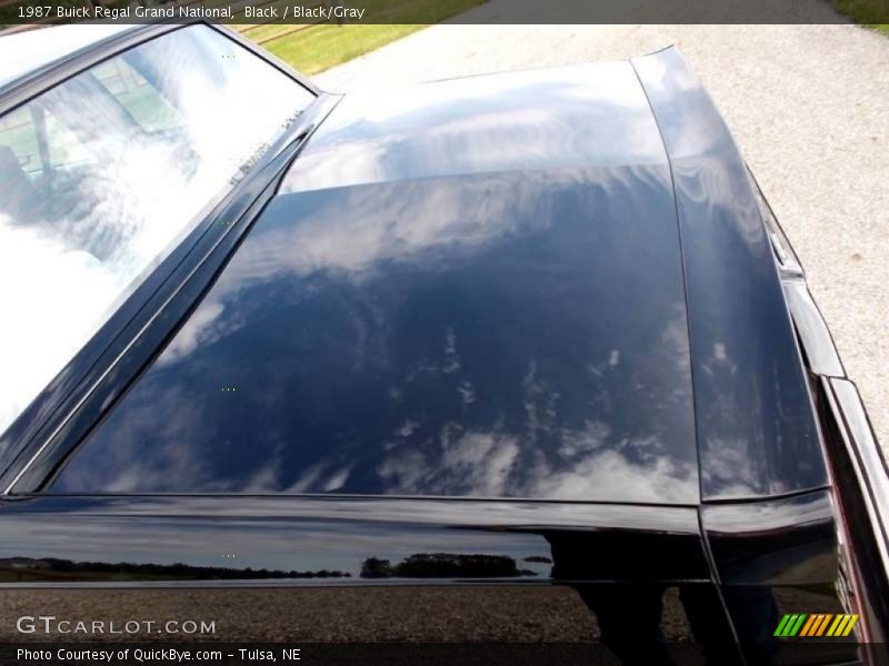 Black / Black/Gray 1987 Buick Regal Grand National