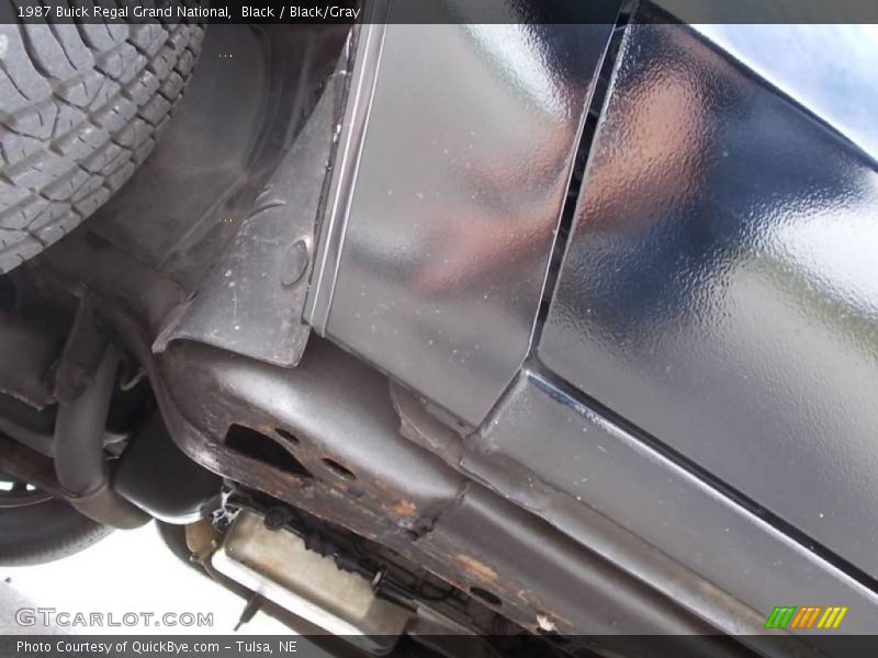 Black / Black/Gray 1987 Buick Regal Grand National