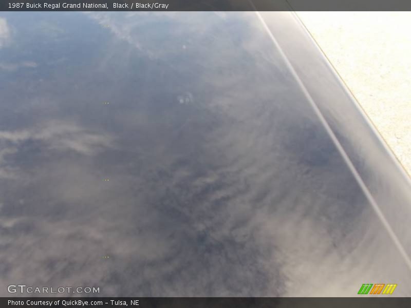 Black / Black/Gray 1987 Buick Regal Grand National