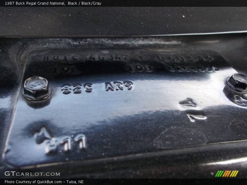 Black / Black/Gray 1987 Buick Regal Grand National