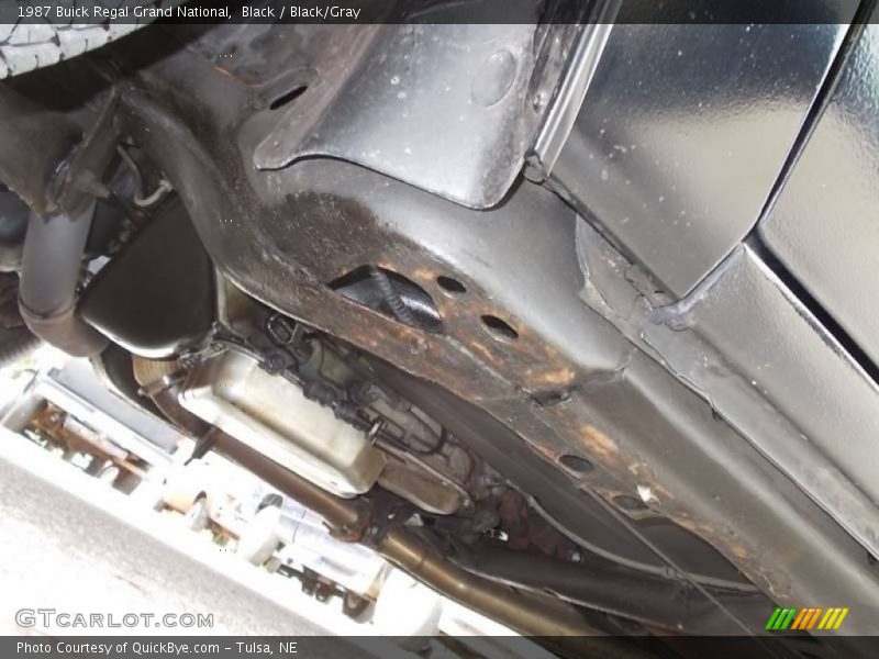 Black / Black/Gray 1987 Buick Regal Grand National