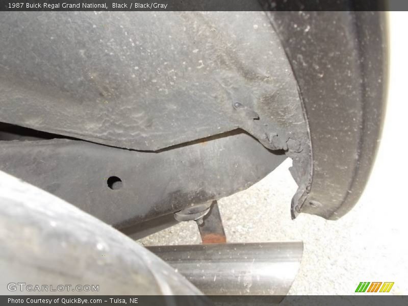 Black / Black/Gray 1987 Buick Regal Grand National