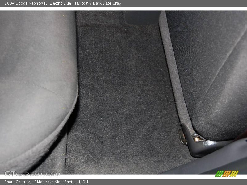 Electric Blue Pearlcoat / Dark Slate Gray 2004 Dodge Neon SXT