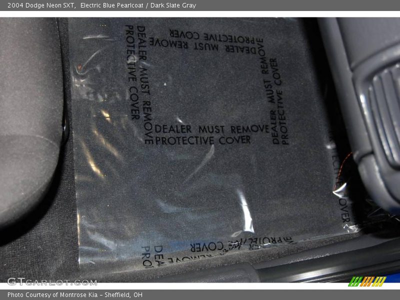 Electric Blue Pearlcoat / Dark Slate Gray 2004 Dodge Neon SXT
