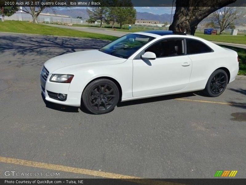 Ibis White / Black 2010 Audi A5 2.0T quattro Coupe