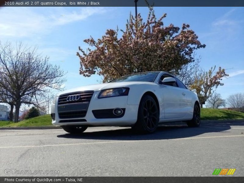 Ibis White / Black 2010 Audi A5 2.0T quattro Coupe