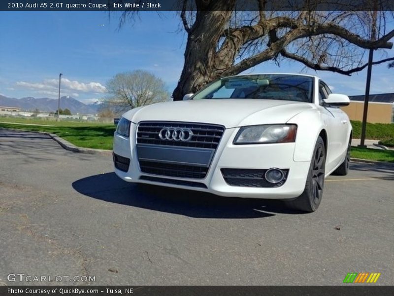 Ibis White / Black 2010 Audi A5 2.0T quattro Coupe