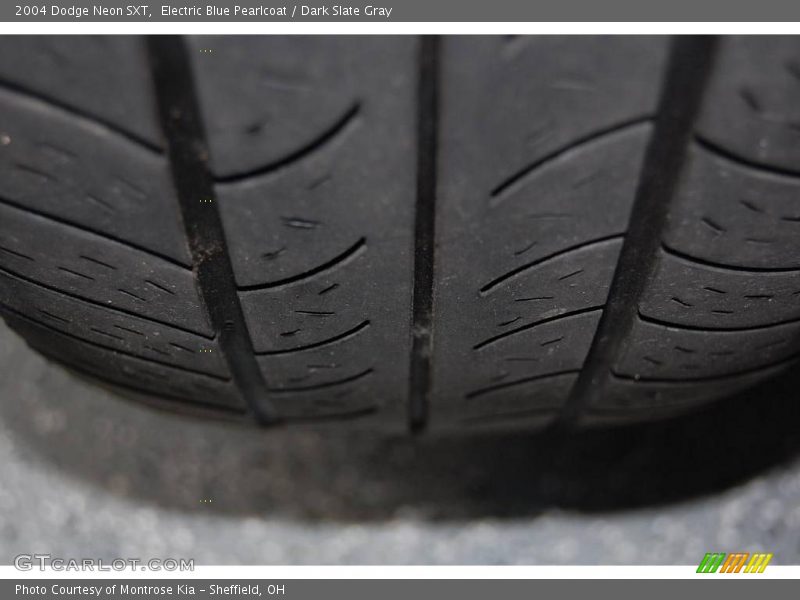 Electric Blue Pearlcoat / Dark Slate Gray 2004 Dodge Neon SXT