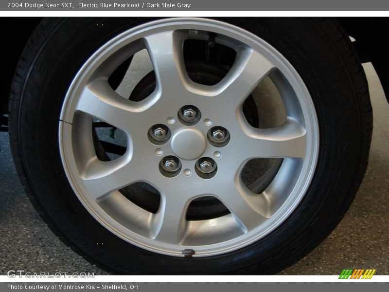 Electric Blue Pearlcoat / Dark Slate Gray 2004 Dodge Neon SXT