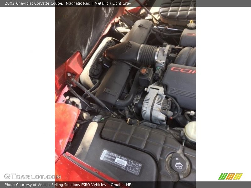 Magnetic Red II Metallic / Light Gray 2002 Chevrolet Corvette Coupe