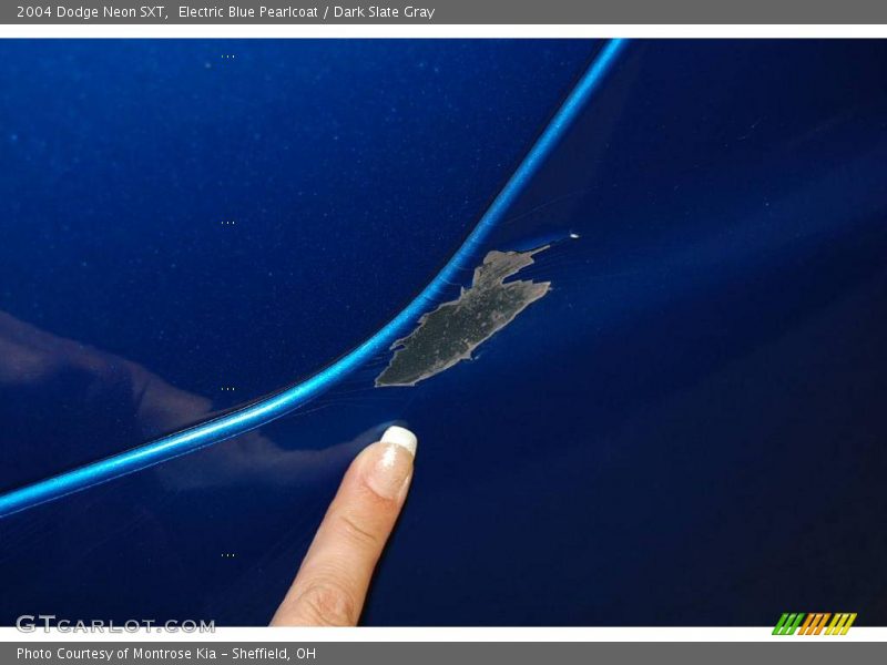 Electric Blue Pearlcoat / Dark Slate Gray 2004 Dodge Neon SXT
