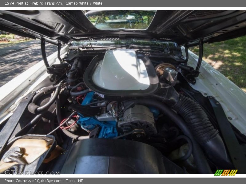 Cameo White / White 1974 Pontiac Firebird Trans Am