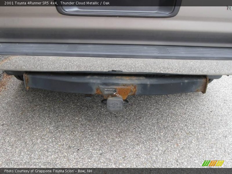 Thunder Cloud Metallic / Oak 2001 Toyota 4Runner SR5 4x4