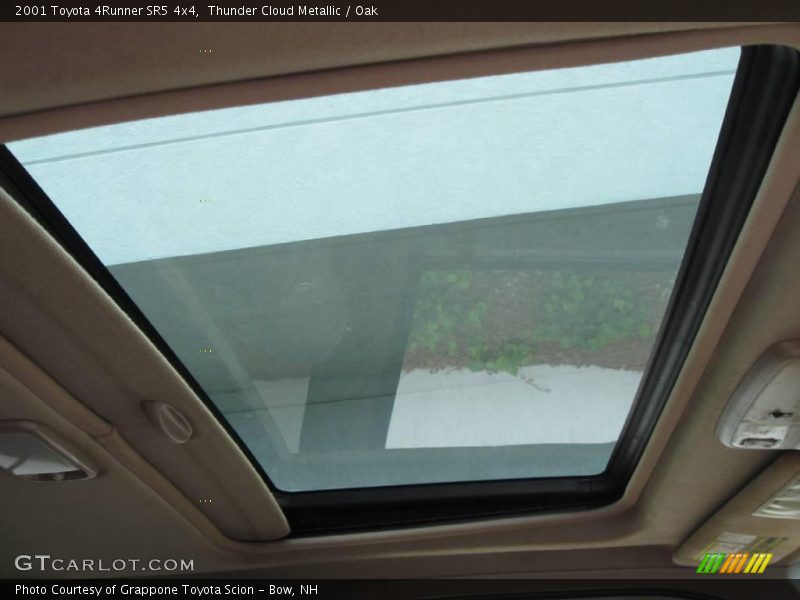 Thunder Cloud Metallic / Oak 2001 Toyota 4Runner SR5 4x4