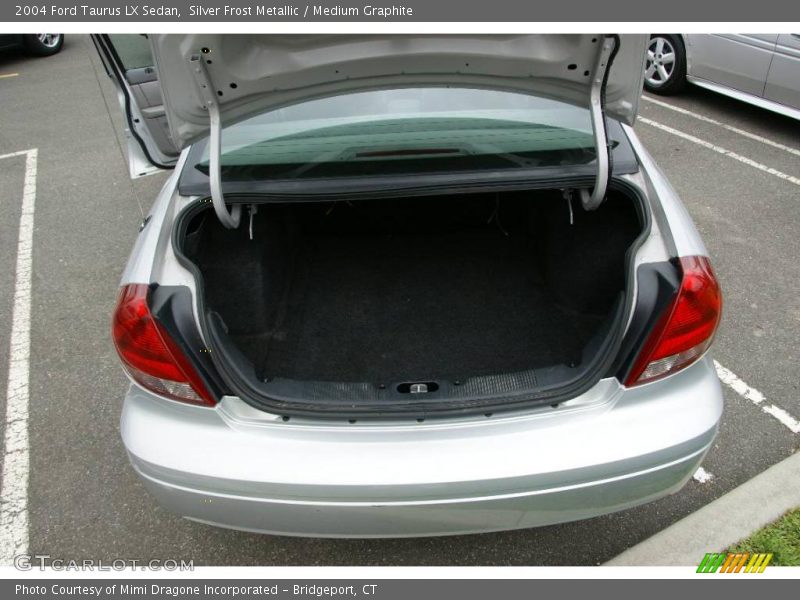 Silver Frost Metallic / Medium Graphite 2004 Ford Taurus LX Sedan