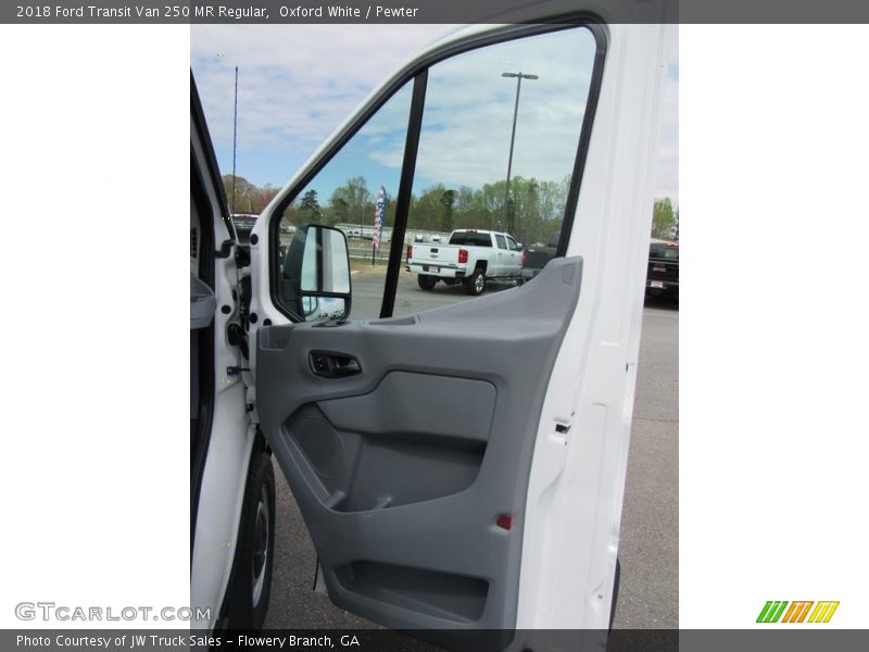 Door Panel of 2018 Transit Van 250 MR Regular