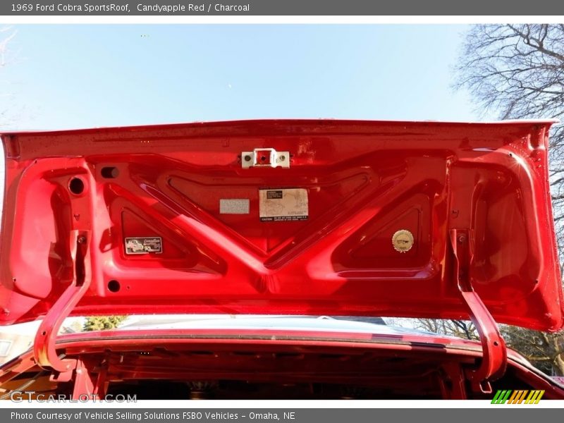  1969 Cobra SportsRoof Trunk