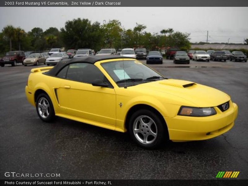 Zinc Yellow / Dark Charcoal 2003 Ford Mustang V6 Convertible