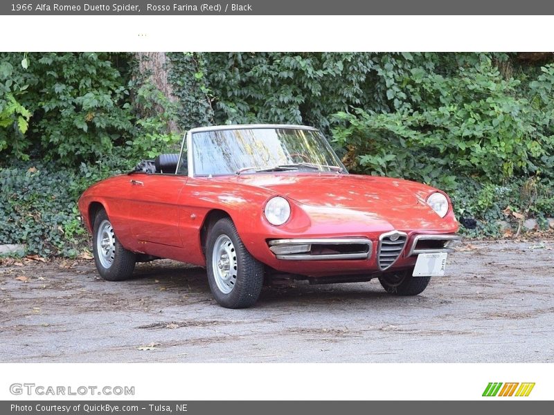  1966 Duetto Spider Rosso Farina (Red)
