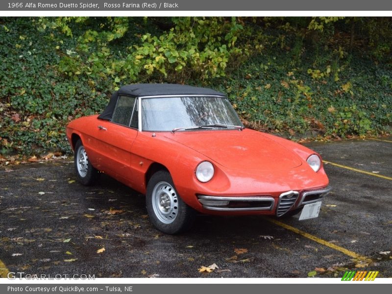  1966 Duetto Spider Rosso Farina (Red)
