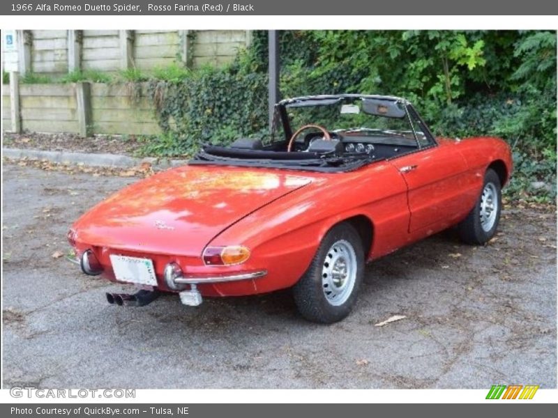 Rosso Farina (Red) / Black 1966 Alfa Romeo Duetto Spider