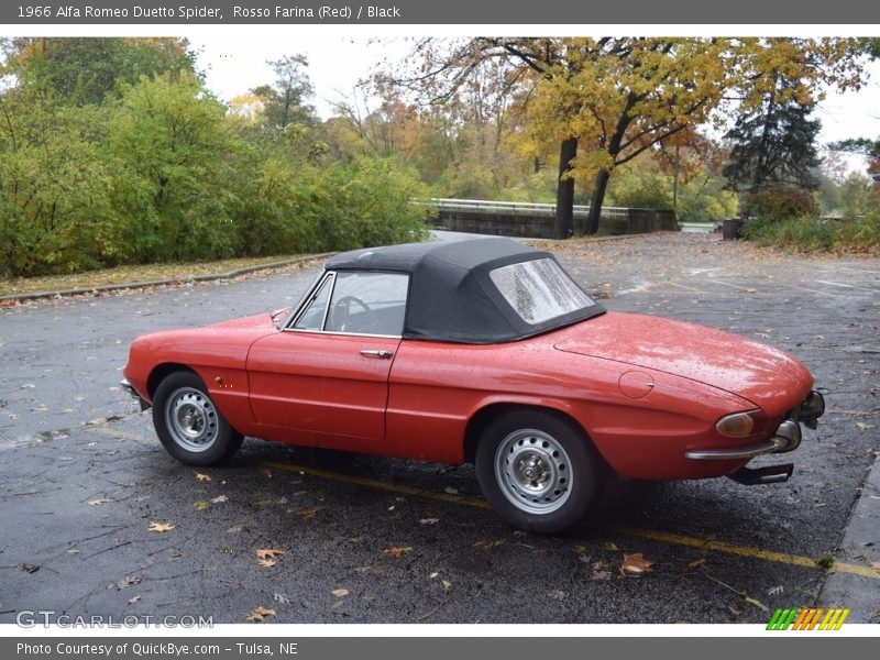  1966 Duetto Spider Rosso Farina (Red)