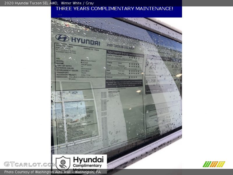 Winter White / Gray 2020 Hyundai Tucson SEL AWD
