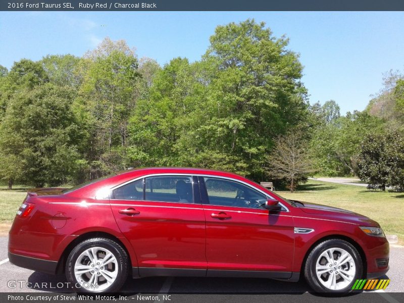 Ruby Red / Charcoal Black 2016 Ford Taurus SEL