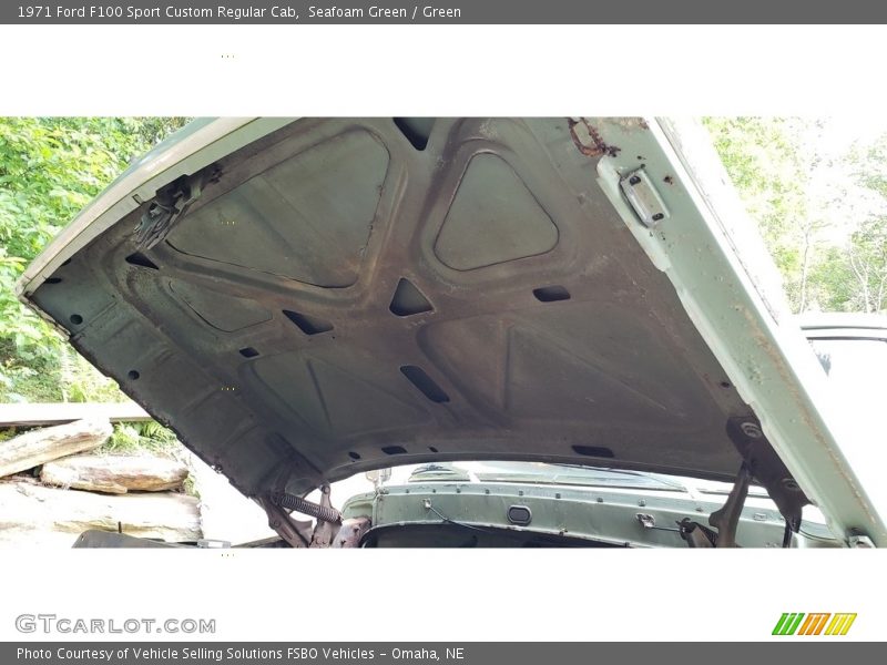 Seafoam Green / Green 1971 Ford F100 Sport Custom Regular Cab