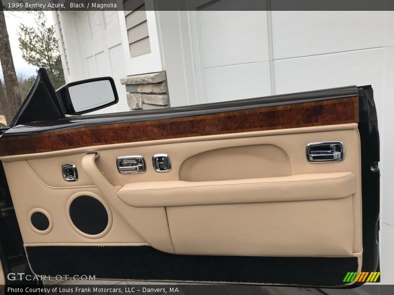 Door Panel of 1996 Azure 