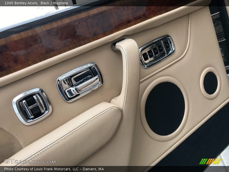 Door Panel of 1996 Azure 