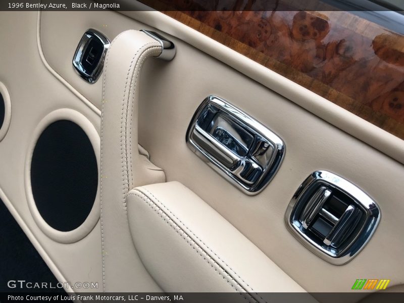 Door Panel of 1996 Azure 