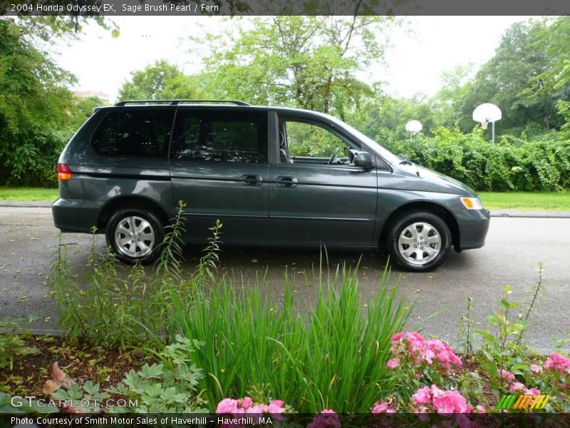 Sage Brush Pearl / Fern 2004 Honda Odyssey EX