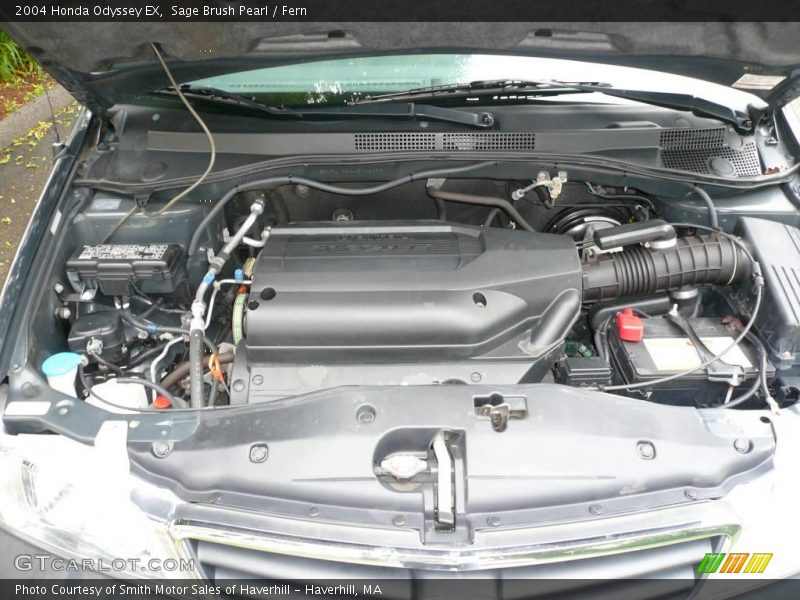 Sage Brush Pearl / Fern 2004 Honda Odyssey EX