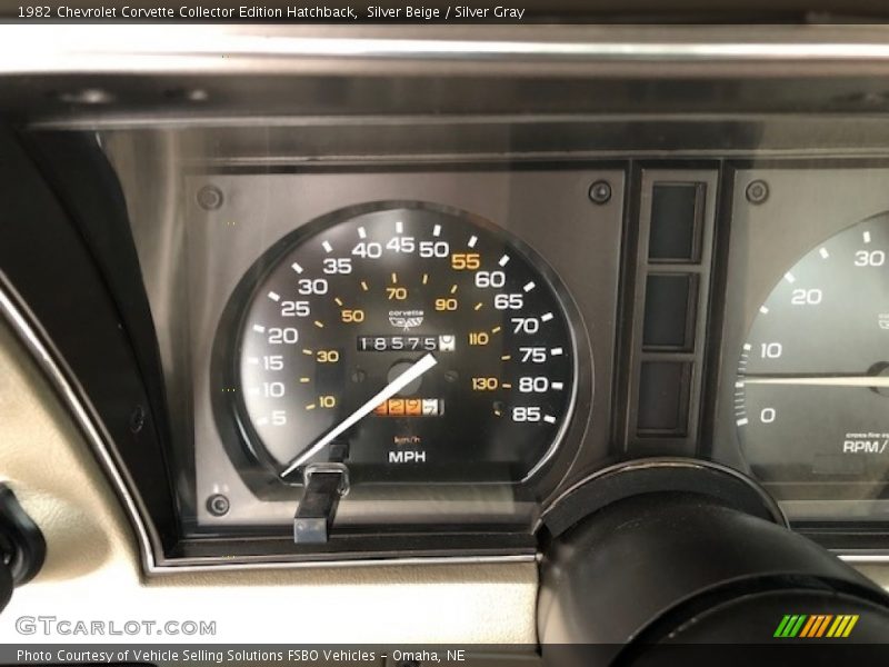 Silver Beige / Silver Gray 1982 Chevrolet Corvette Collector Edition Hatchback