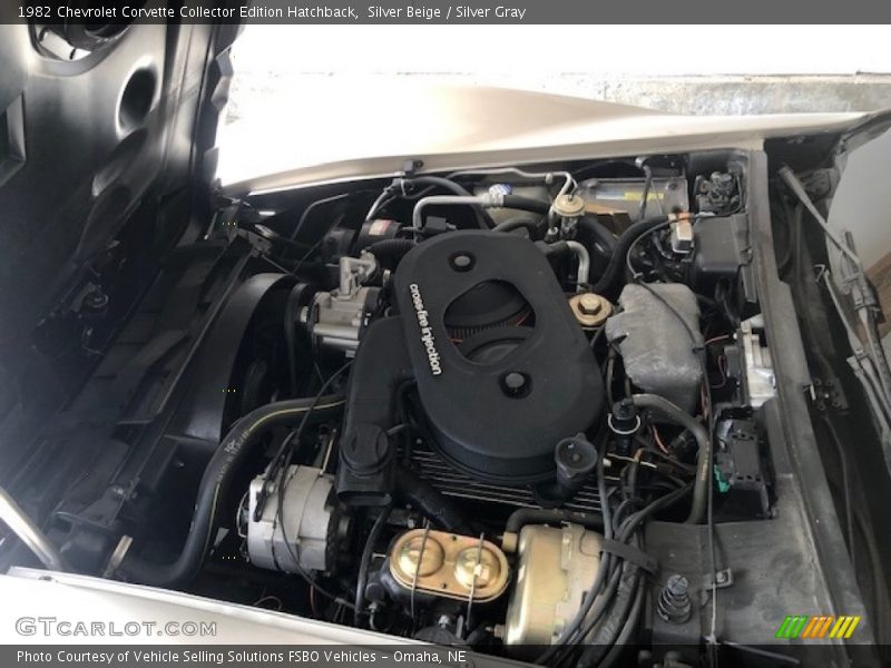 Silver Beige / Silver Gray 1982 Chevrolet Corvette Collector Edition Hatchback