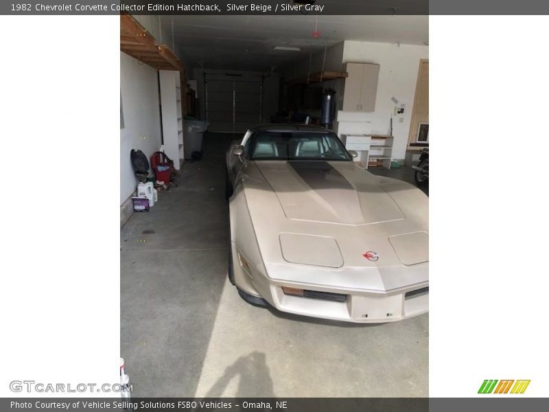 Silver Beige / Silver Gray 1982 Chevrolet Corvette Collector Edition Hatchback