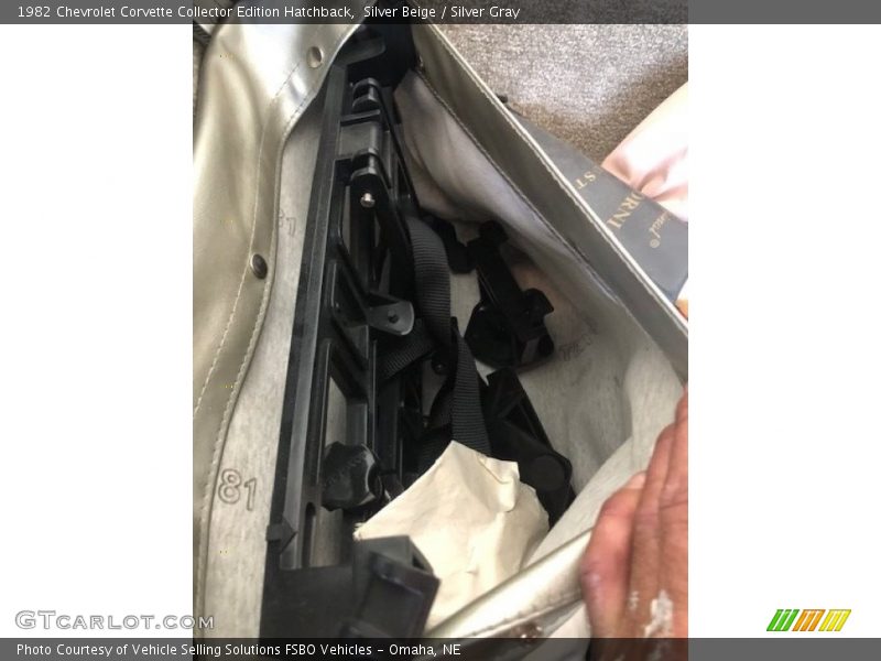 Silver Beige / Silver Gray 1982 Chevrolet Corvette Collector Edition Hatchback